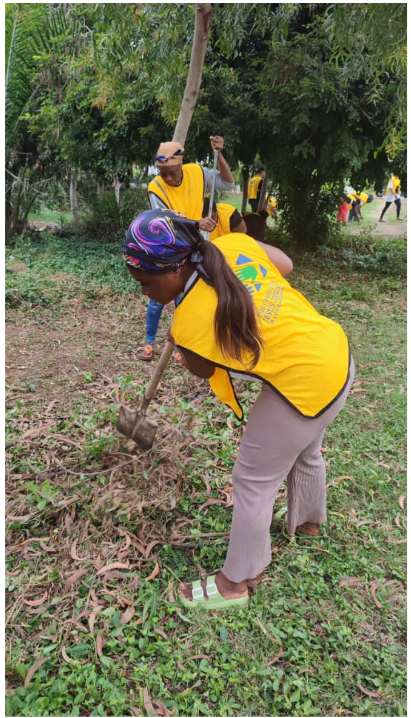 Volunteer woman in yellow vest clearing grass and landscaping